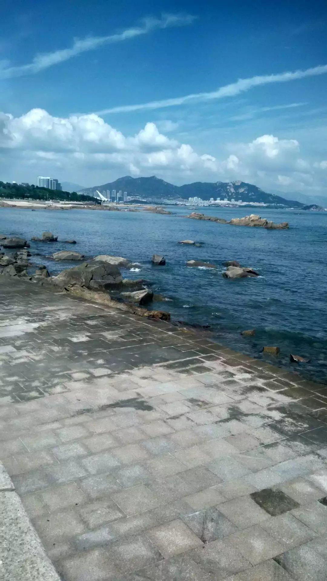 青島極地海洋世界門票免費嗎？——深度解析與攻略，青島極地海洋世界門票免費政策解析及游玩攻略