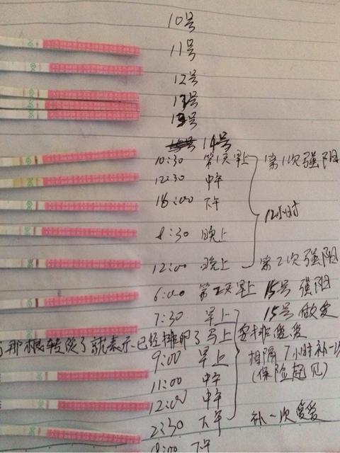 早孕試紙，了解、使用與優(yōu)化搜索體驗(yàn)，早孕試紙，使用指南與優(yōu)化搜索體驗(yàn)