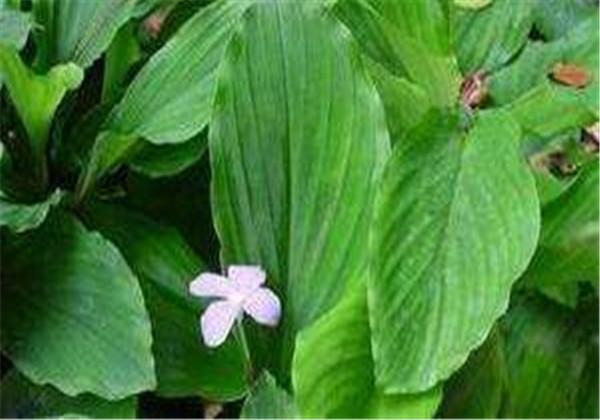 牙痛不止？嘗試這十秒止疼法，輕松緩解不適，十秒止疼法，輕松緩解牙痛不適