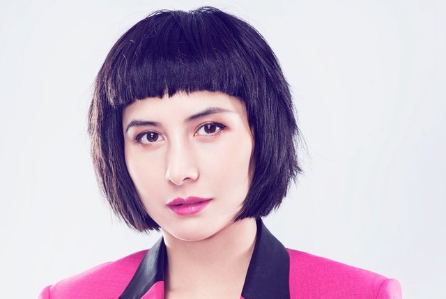 何超儀的個人資料，探索明星之路的璀璨人生，何超儀的明星之路，璀璨人生的探索