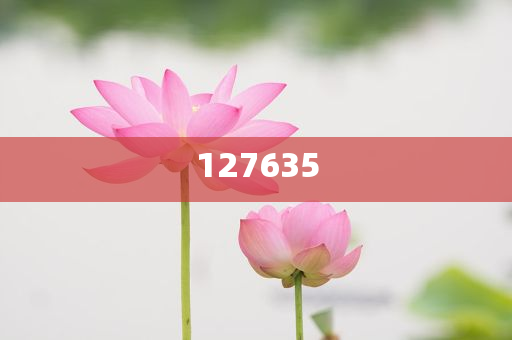 探索全新精準傳真服務,7777788888新精準傳真解析,全新精準傳真服務解析,7777788888傳真新體驗