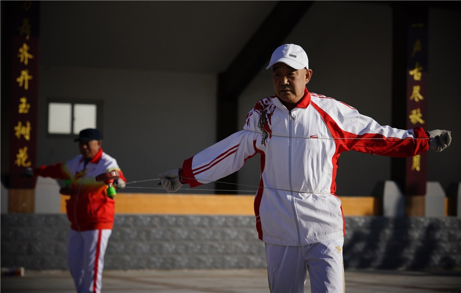 揭秘劉伯溫四不像平直一肖的神秘面紗，劉伯溫四不像平直一肖的神秘面紗揭曉