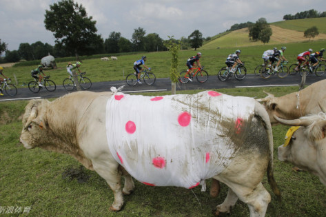 王中王三肖一碼免費公開，揭秘背后的秘密與真相，揭秘王中王三肖一碼，真相與背后的秘密免費公開揭露