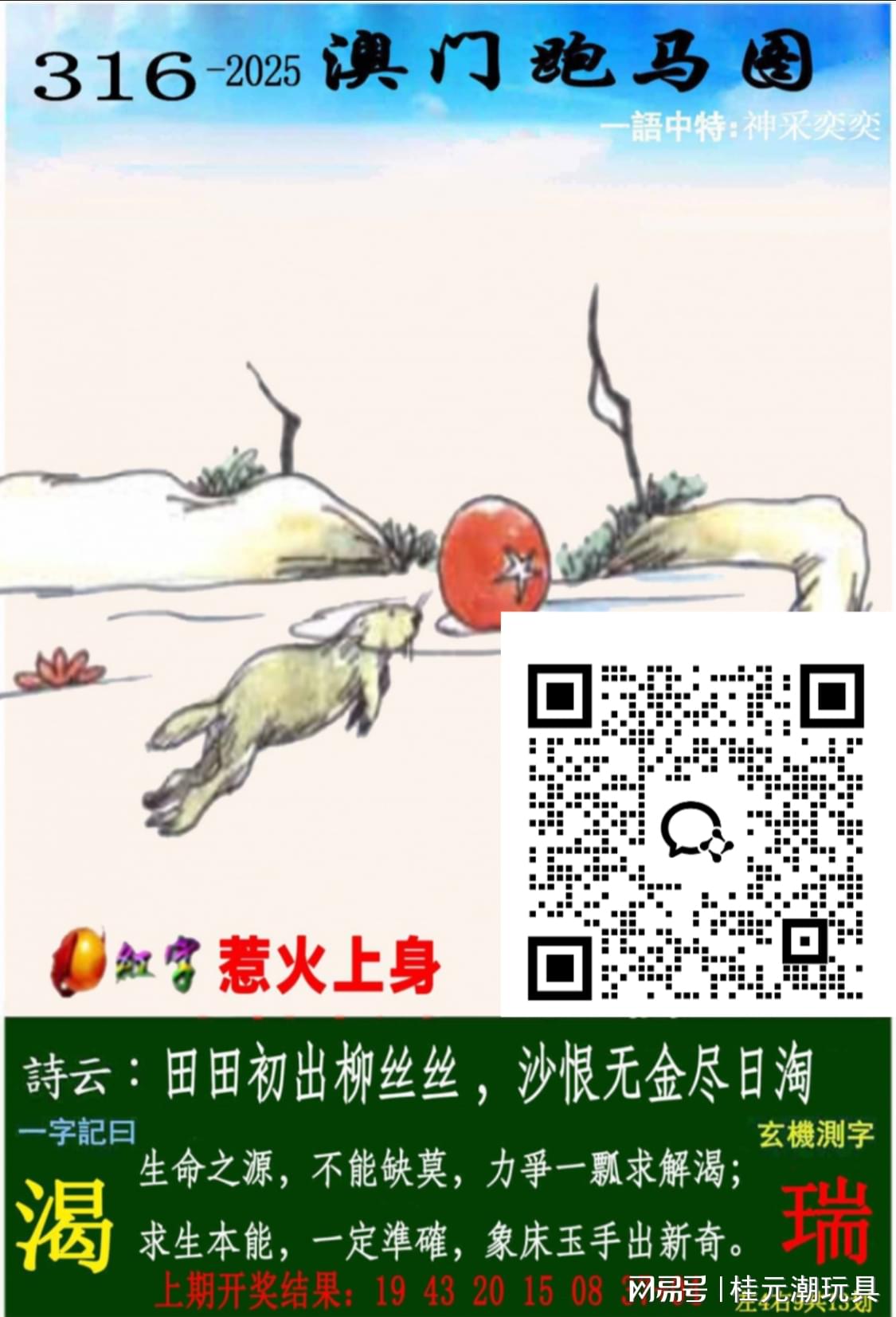 2025新澳精準資料大全，全方位信息解析與資源匯總，2025新澳精準資料大全，全方位信息解析與資源大匯總