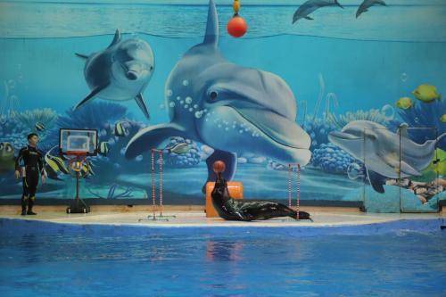 南京海底世界游玩攻略，探索奇妙海洋，了解逛完所需時間，南京海底世界游玩攻略，探索奇妙海洋之旅及所需時間揭秘