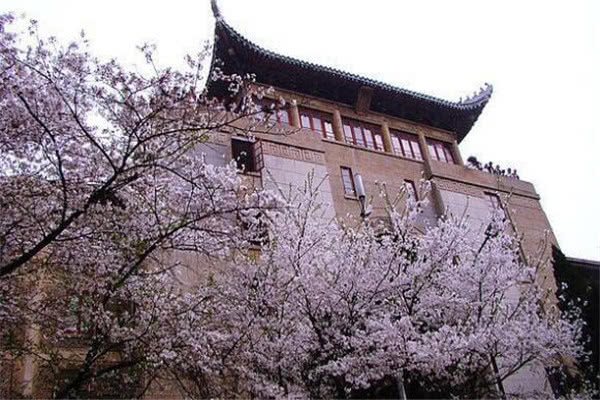 武漢景點(diǎn)排名，探尋歷史文化名城的不朽魅力，武漢景點(diǎn)排名揭秘，歷史文化名城的魅力之旅