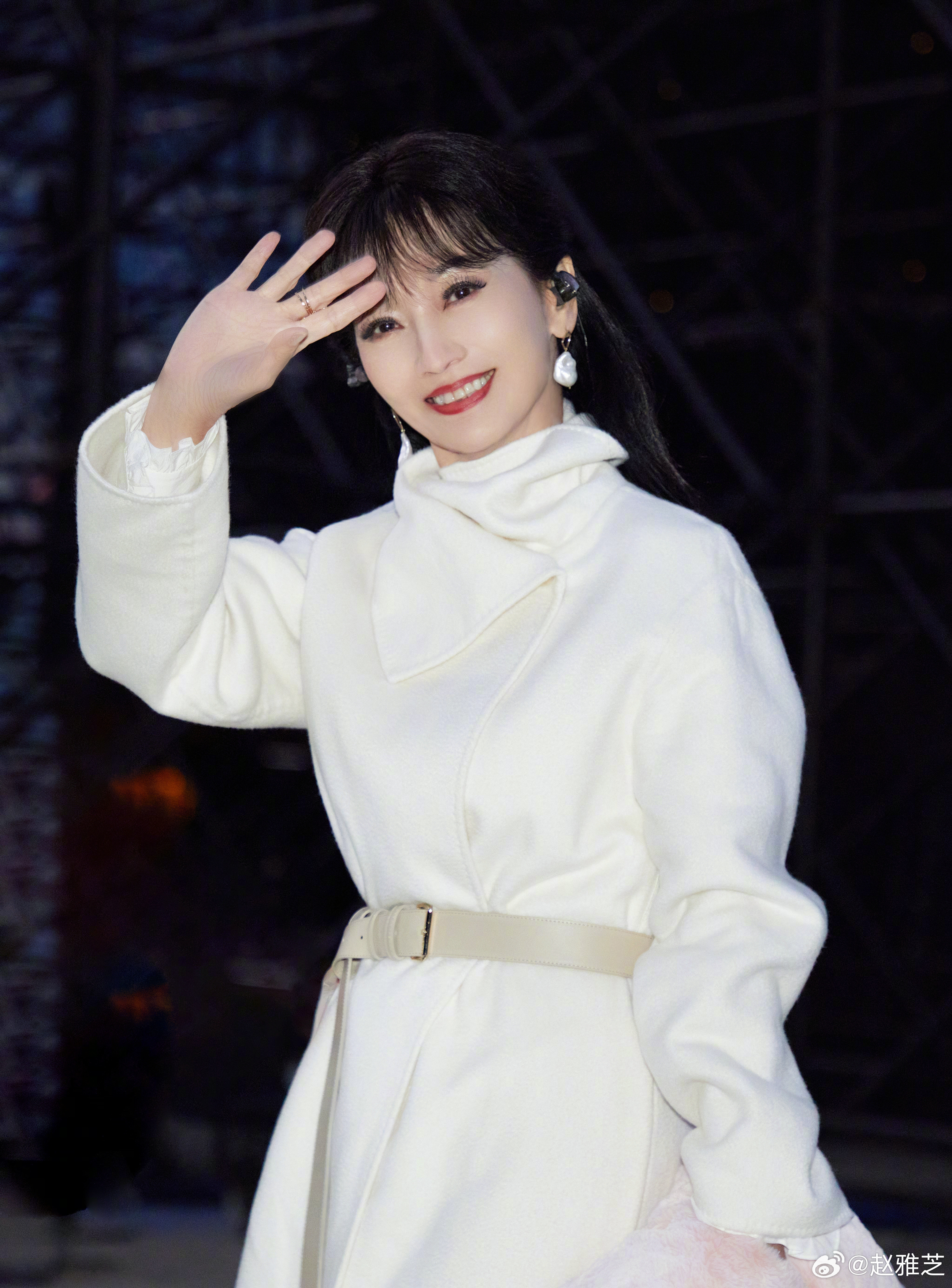 演員趙雅芝個(gè)人資料，歲月不敗的美人傳奇，趙雅芝，歲月不敗的美人傳奇人生