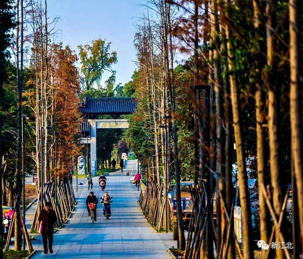 劉伯溫騎馬打一生肖，傳奇故事與生肖運勢解讀，劉伯溫傳奇故事與生肖運勢解讀，騎馬打一生肖的奧秘