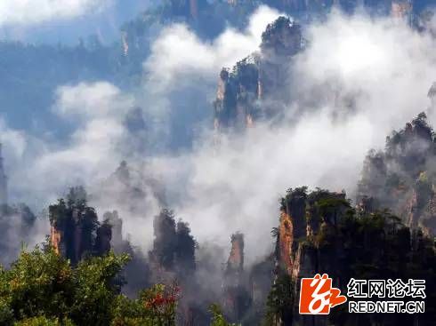 張家界旅游咨詢電話——您的旅游首選咨詢伙伴，張家界旅游咨詢電話，首選咨詢伙伴，啟程美好旅程