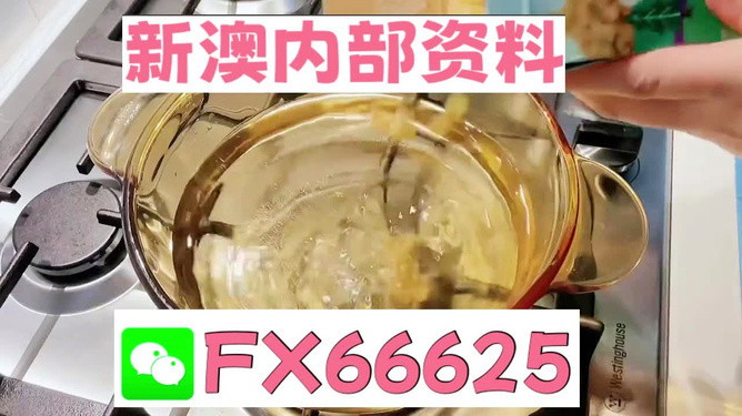 新澳一碼料，深度解析與SEO優(yōu)化策略，新澳一碼料深度解析與SEO優(yōu)化策略指南