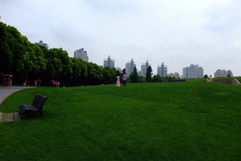 上海世紀公園是否需要門票？全面解析入園政策，上海世紀公園入園政策解析，門票需求與規定