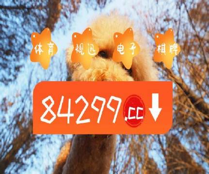 澳門天天六開彩正版澳門，探索正版彩票的魅力與重要性，澳門正版彩票的魅力與重要性，天天六開彩探索之旅