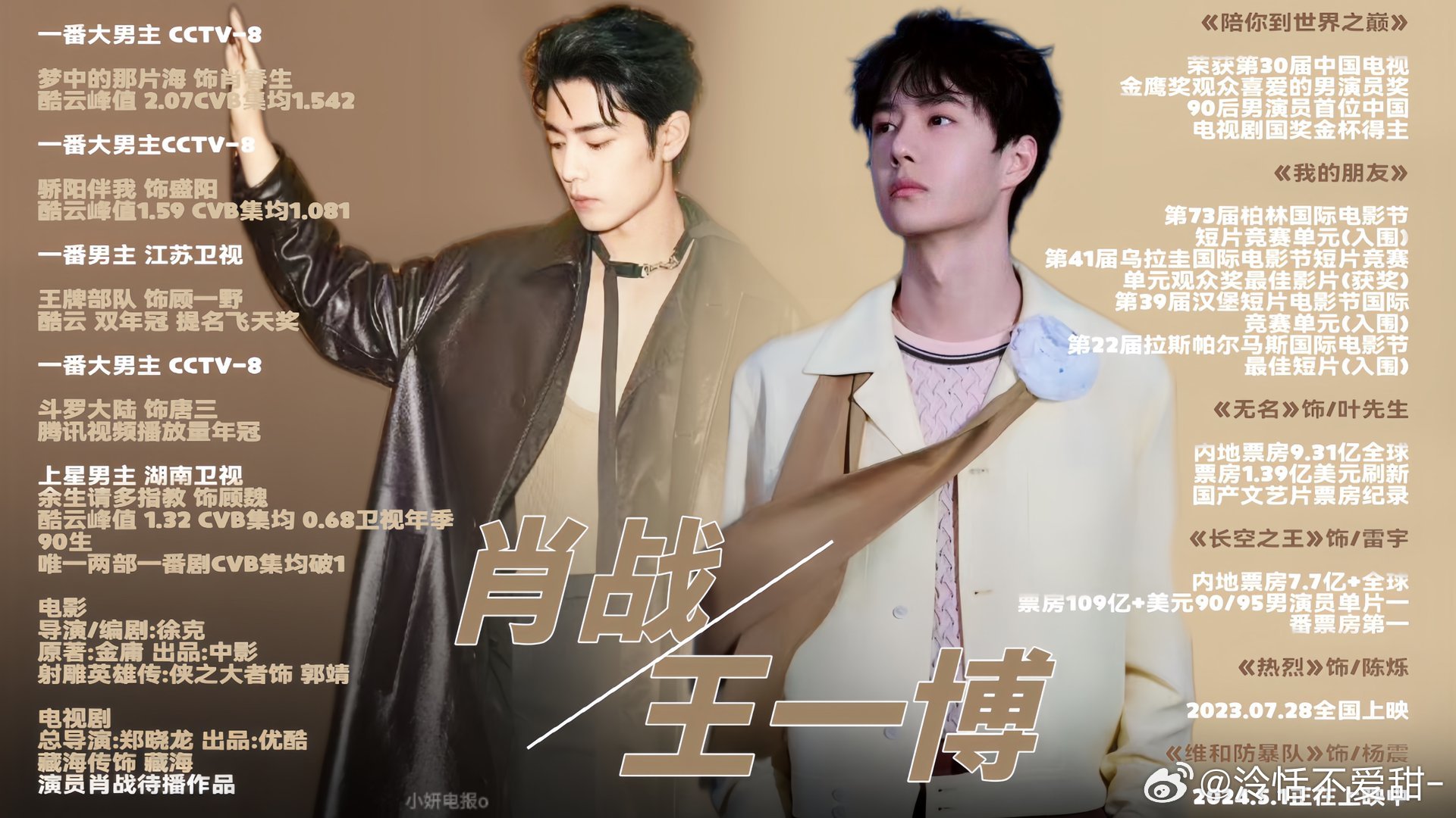 王中王一肖精準資料，深度解析與探索，王中王一肖資料深度解析與探索，精準資料揭秘