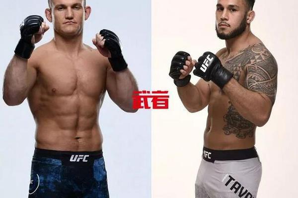 澳門六下彩資料開獎結(jié)果，最新動態(tài)與解析，澳門六下彩最新開獎結(jié)果、動態(tài)解析與趨勢預(yù)測