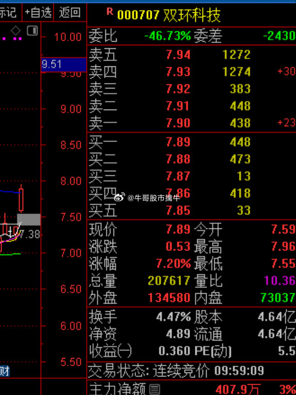 雙環科技股票,投資潛力與市場前景分析,雙環科技股票投資潛力與市場前景深度解析