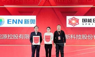 新奧今晚開一肖一特講解詞語,探索生肖與特意的奧秘,新奧生肖夜,揭秘生肖與特意的神秘關聯