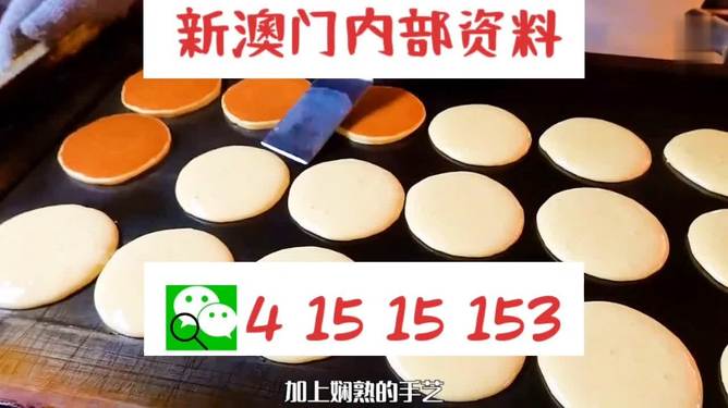 新澳內部碼,深度解析與應用指南,新澳內部碼深度解析與應用實操指南