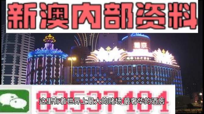 新澳內部碼,深度解析與應用指南,新澳內部碼深度解析與應用實操指南