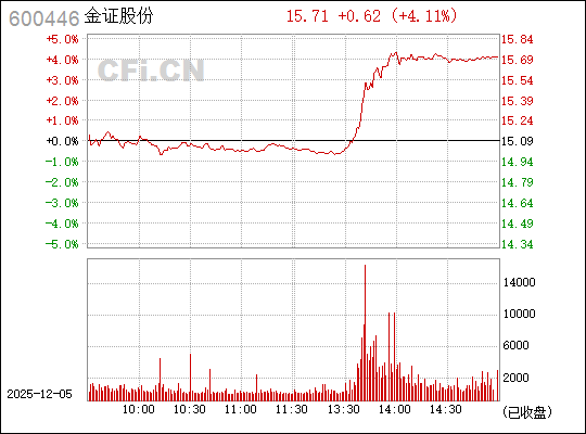 金證股份股票股吧,深度解析與前景展望,金證股份深度解析及前景展望,股票股吧指南