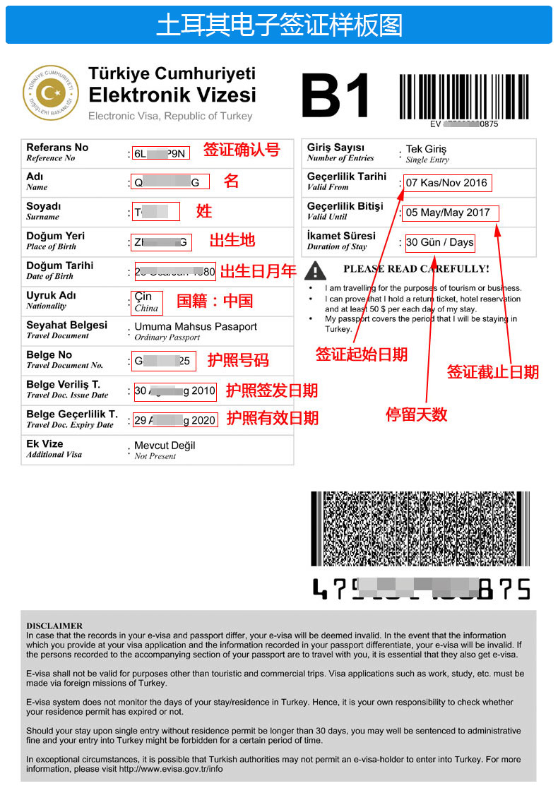 土耳其簽證辦理流程詳解,土耳其簽證辦理詳解攻略