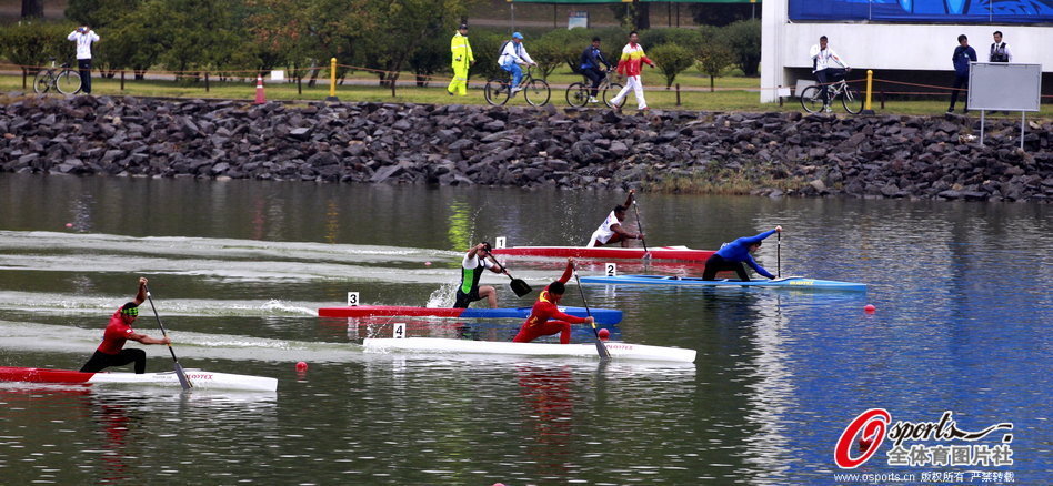 王中王一肖一馬期期中特,深度解析與SEO優化策略,王中王一肖一馬期期中特深度解析與SEO優化策略指南