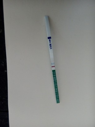 早孕試紙圖片,了解使用與選擇的重要性,早孕試紙圖片,使用與選擇的重要性解析