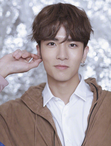 關于300495的最新消息全面解析，300495最新消息全面解析