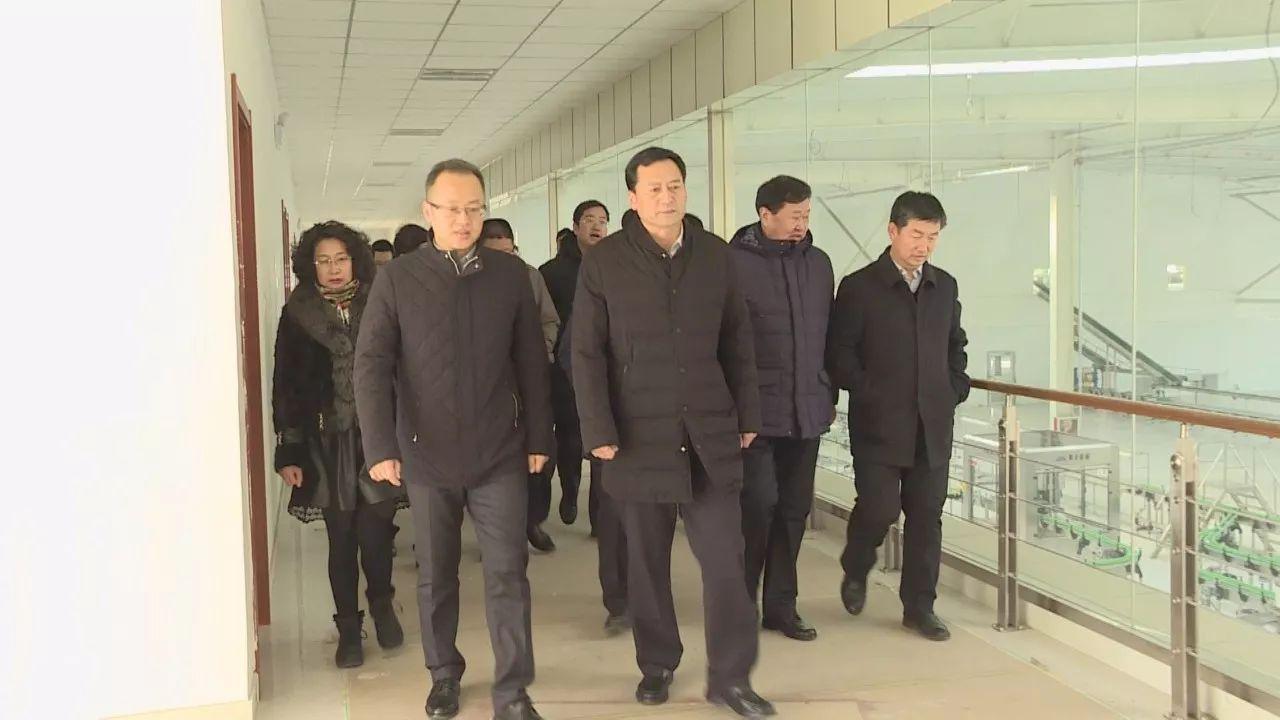 駱駝股份股吧深度解析，探究企業(yè)潛力與價值，駱駝股份股吧深度解析，探究企業(yè)潛力與價值展望