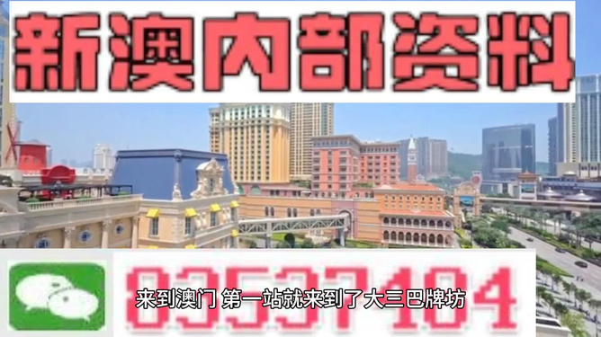 新澳新澳門正版資料，探索與解析，新澳新澳門正版資料深度解析與探索