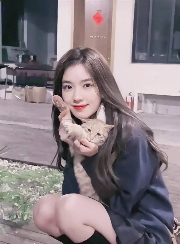 孫一寧照片與個人資料，深度探索，孫一寧照片與深度個人資料探索