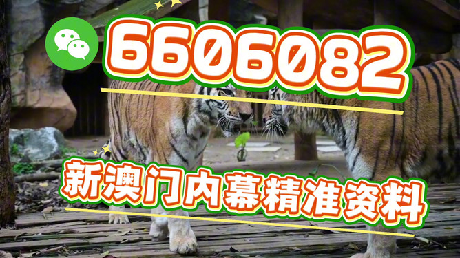 澳門今晚必開一肖一特，揭秘生肖彩票的魅力與策略，澳門生肖彩票揭秘，必開一肖一特的魅力與策略
