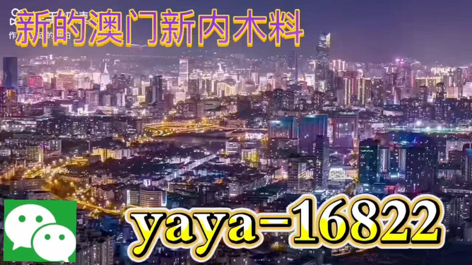 今晚澳門買什么最好？探索最佳選擇與策略，澳門今晚最佳選擇與策略探索指南