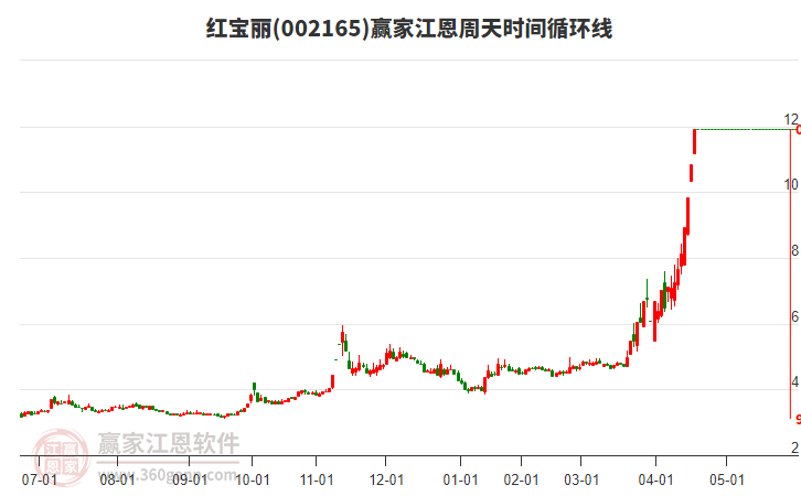 紅寶麗股票，投資潛力與市場前景分析，紅寶麗股票，投資潛力與市場前景深度剖析