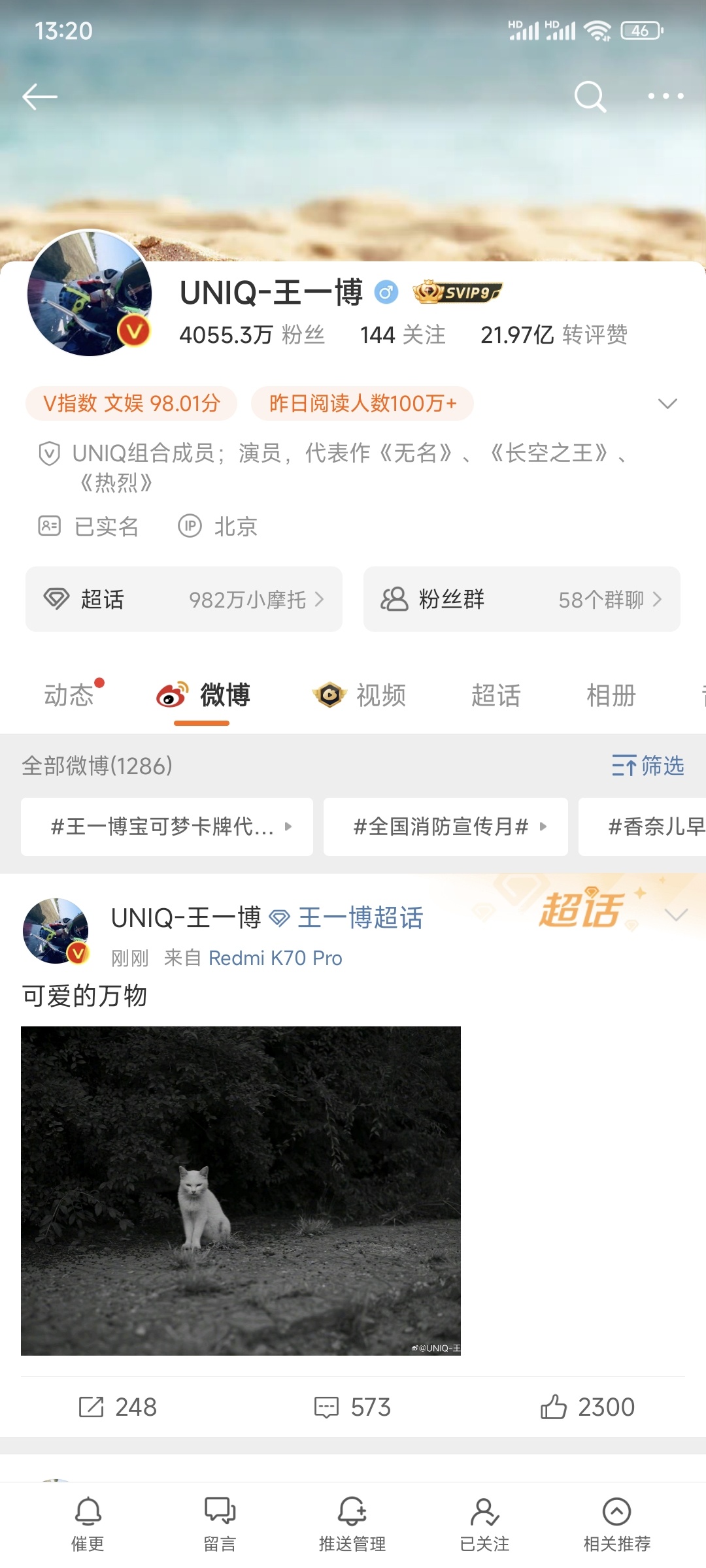 王中王一肖一，全年資料的深度解析，王中王一肖一全年資料深度解析