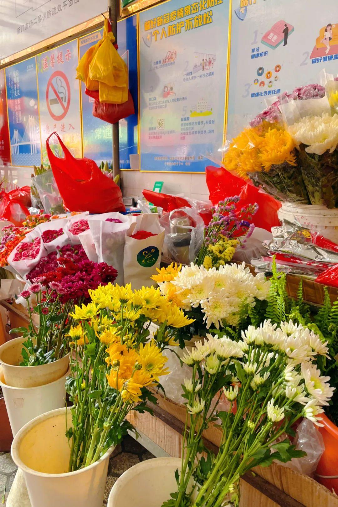 新門內部資料大全最新更新下載，探索未知世界的鑰匙，新門內部資料大全最新更新下載，探索未知世界的入門鑰匙