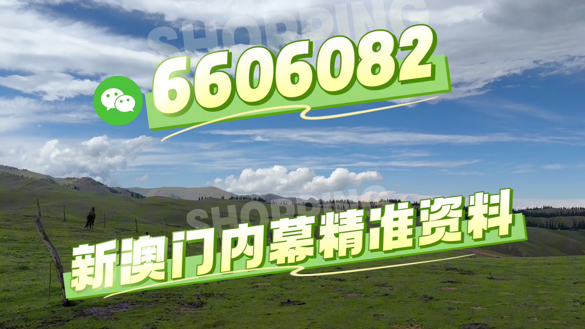 澳門今晚必開一肖一特，探索生肖與運勢的神秘面紗，澳門今晚生肖運勢揭秘，探索生肖與運勢的神秘聯系
