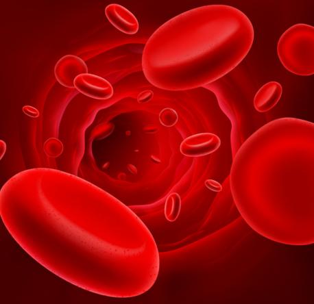 血常規(guī)化驗(yàn)單各項(xiàng)解讀，深入了解您的身體指標(biāo)，血常規(guī)化驗(yàn)單全面解讀，洞悉身體指標(biāo)，關(guān)注健康狀態(tài)