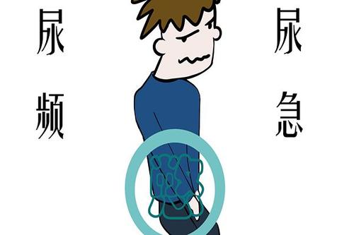 關(guān)于總是想尿的探討，原因、影響與解決方案，關(guān)于頻繁尿意的探討，原因、影響及解決方案